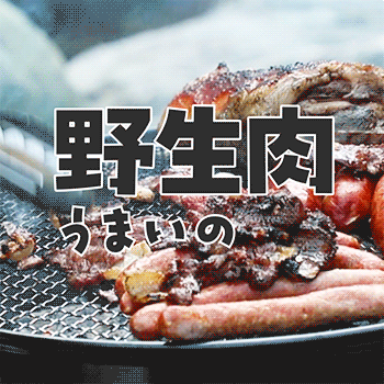 野生肉うまいの知っとるで？