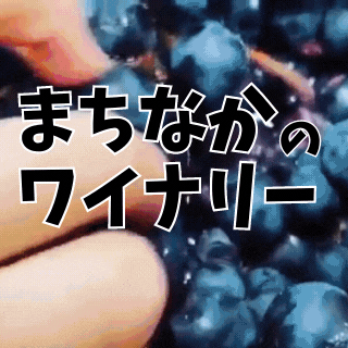 まちなかのワイナリー知っとるで?