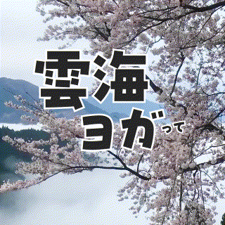 雲海ヨガって、知っとるで?